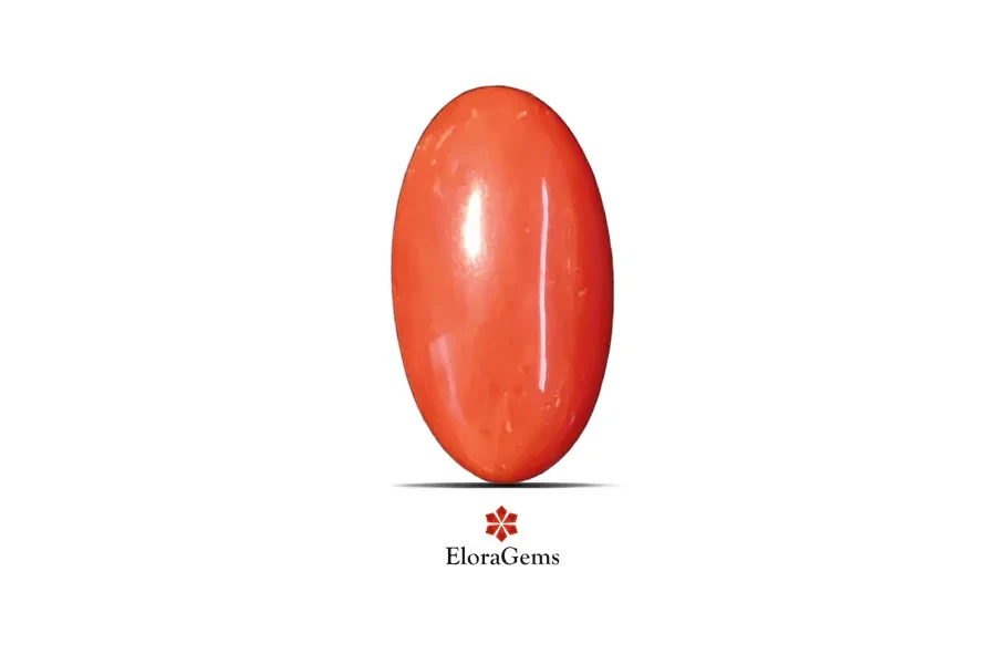 Red Coral (Pavalam) 19x11 MM 6.66 carats