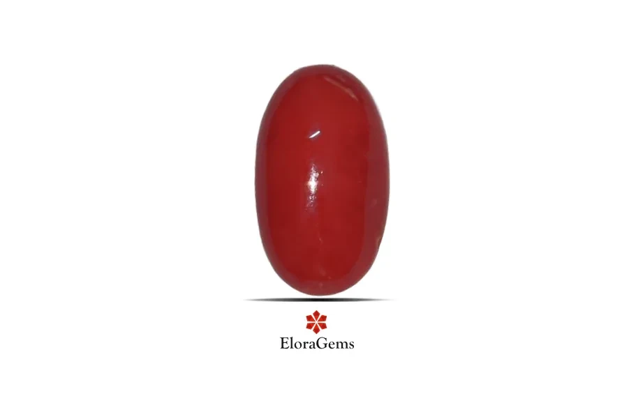 Red Coral (Pavalam) 13x8 MM 3.32 carats