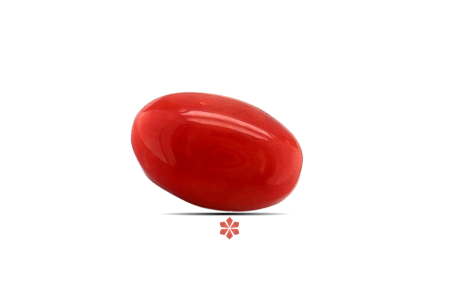 Red Coral 10x6 MM 2.42 carats