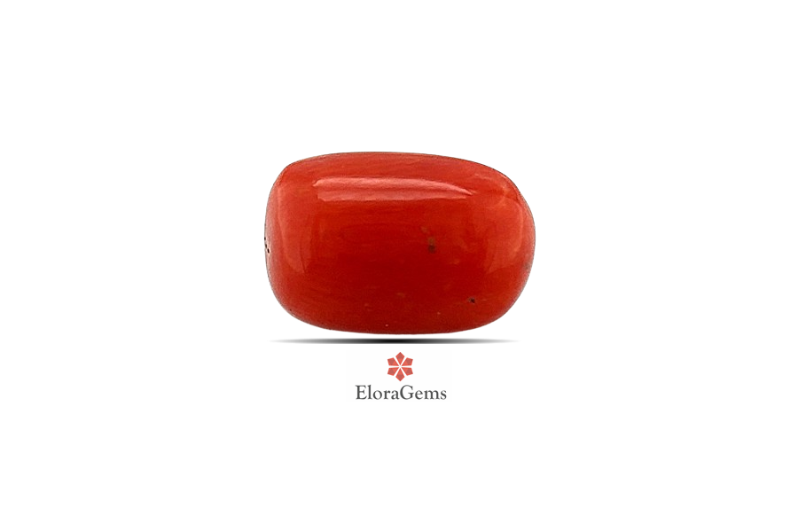 Red Coral 10x7 MM 2.7 carats