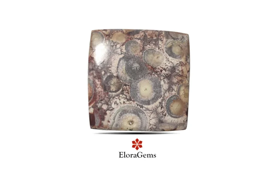 Mushroom Rhyolite Jasper 44x44 MM 89.9 carats