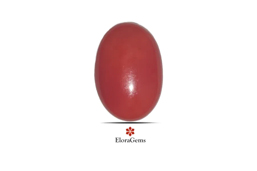 Red Coral (Pavalam) 17x12 MM 8.54 carats