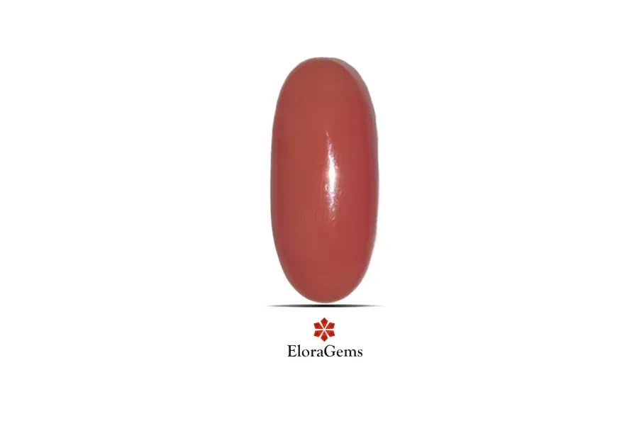 Red Coral (Pavalam) 18x8 MM 9.12 carats