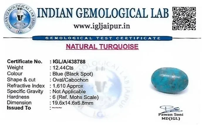 Turquoise 20x15 MM 12.44 carats