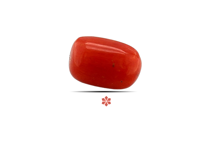 Red Coral 10x7 MM 2.7 carats