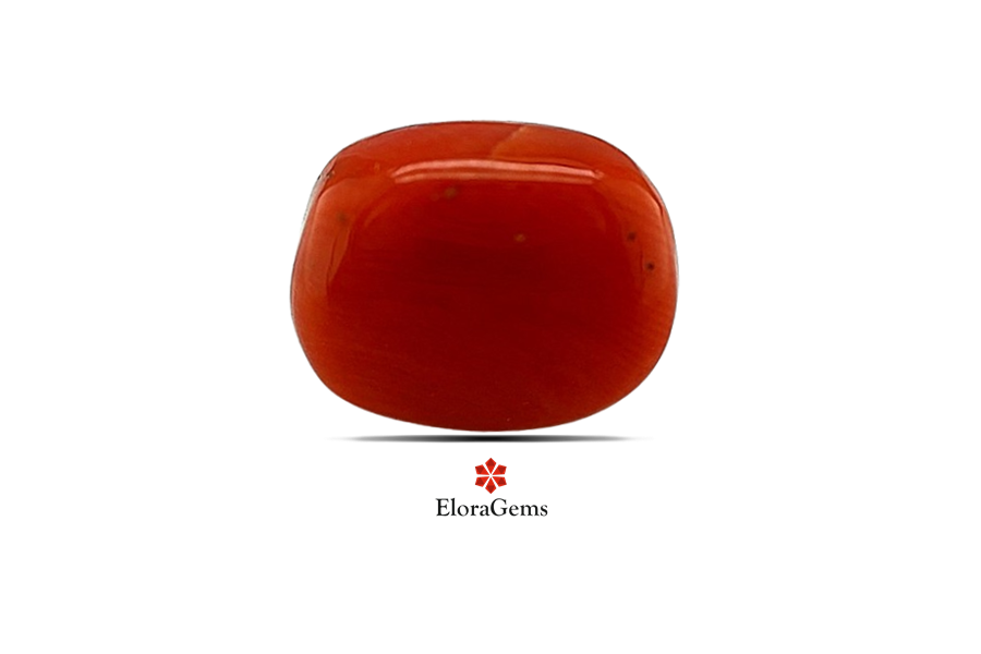 Red Coral (Pavalam) 14x11 MM 7.24 carats
