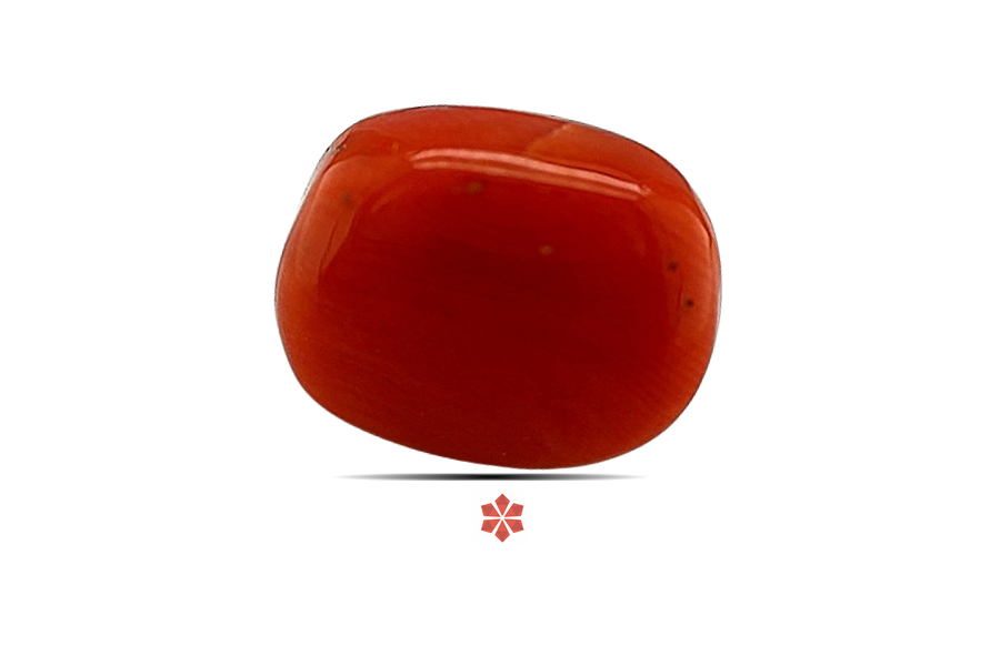 Red Coral 14x11 MM 7.24 carats