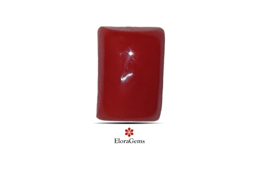 Red Coral (Pavalam) 7x5 MM 1.46 carats