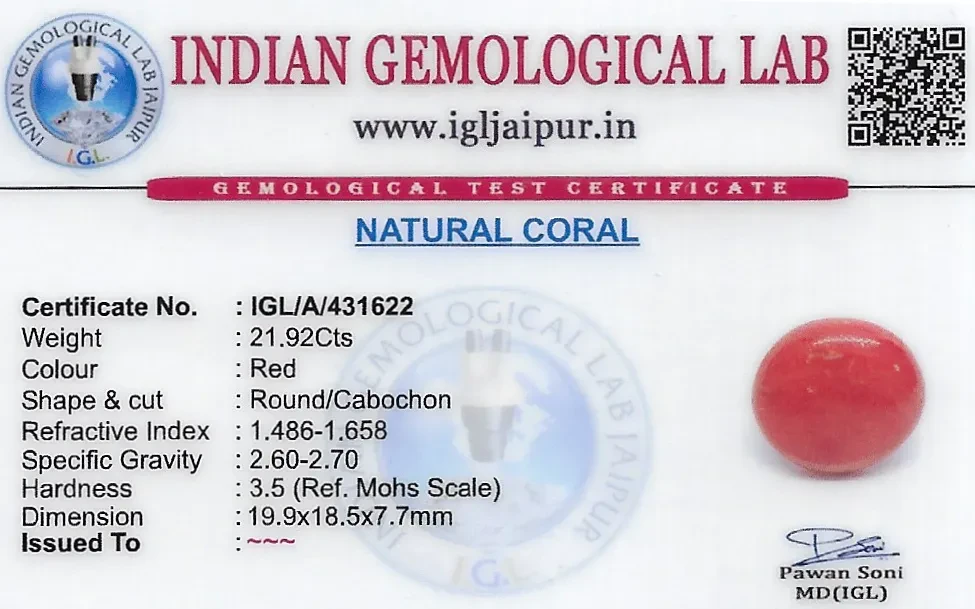 Red Coral (Pavalam) 20x19 MM 21.92 carats
