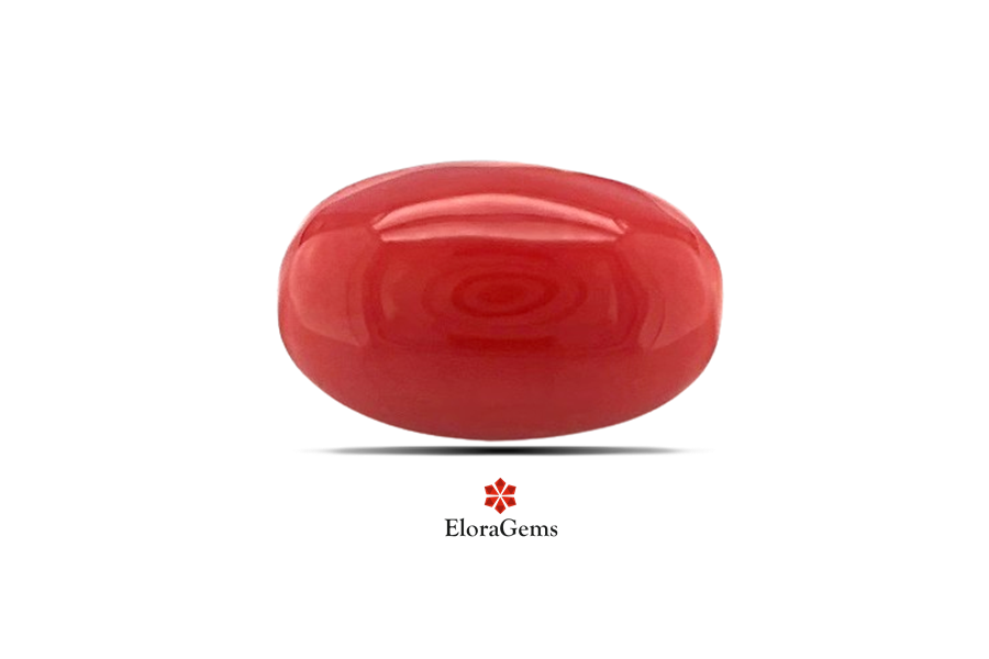 Red Coral 10x6 MM 2.6 carats
