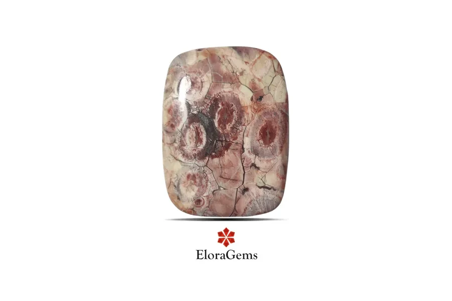 Mushroom Rhyolite Jasper 45x34 MM 59.29 carats