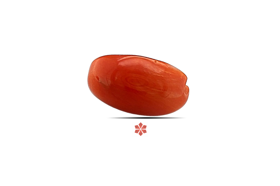 Red Coral 11x7 MM 2.62 carats