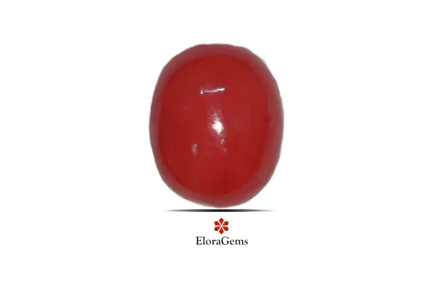 Red Coral (Pavalam) 7x6 MM 1.24 carats