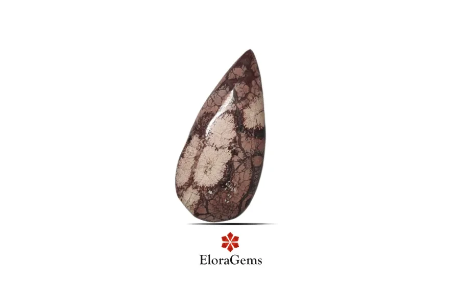 Mushroom Rhyolite Jasper 41x20 MM 25.72 carats