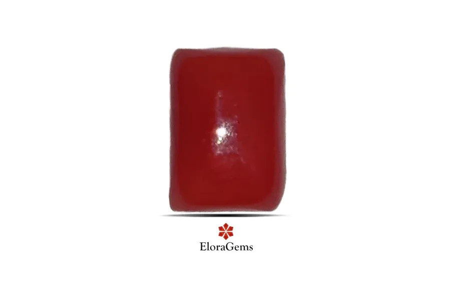 Red Coral (Pavalam) 7x5 MM 1.54 carats