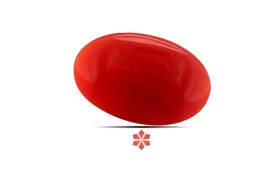 Red Coral 15x10 MM 3.25 carats