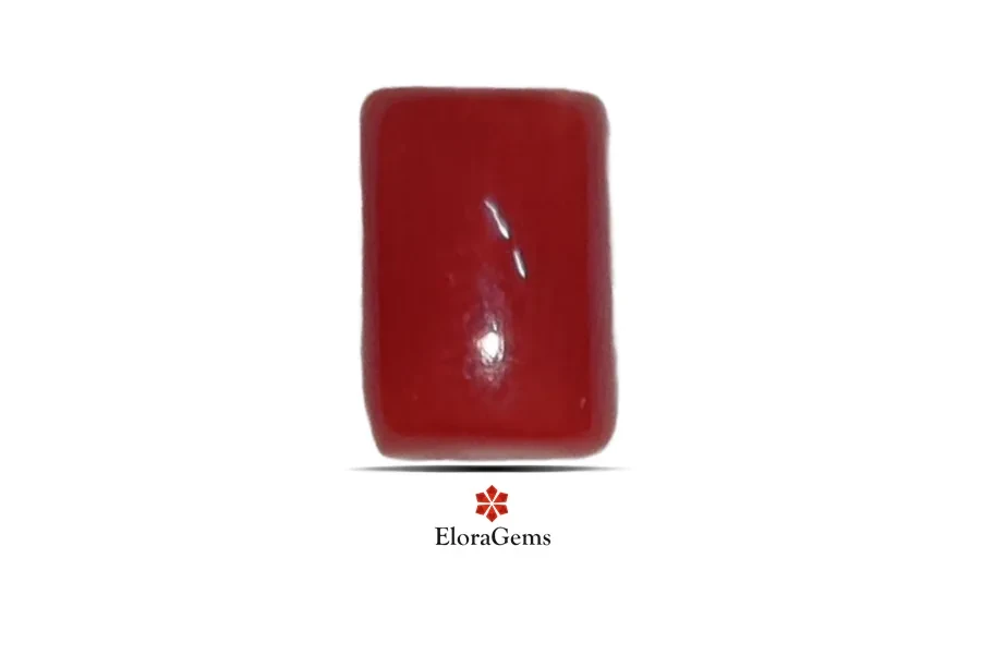 Red Coral (Pavalam) 7x5 MM 1.2 carats