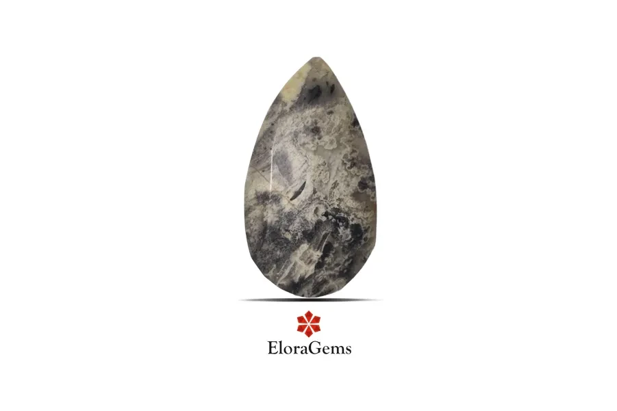 Black Cola Jasper 29x16 MM 16.52 carats