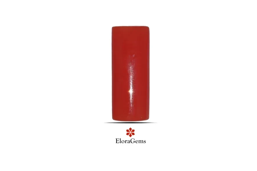 Red Coral (Pavalam) 15x6 MM 2.7 carats