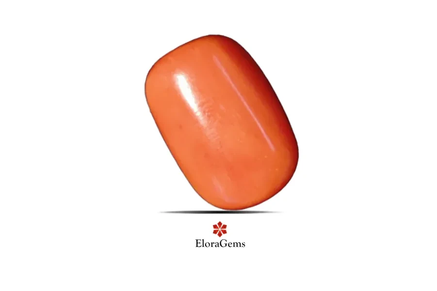 Red Coral (Pavalam) 17x12 MM 13.7 carats