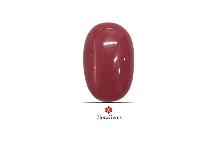Red Coral (Pavalam) 12x8 MM 3.61 carats