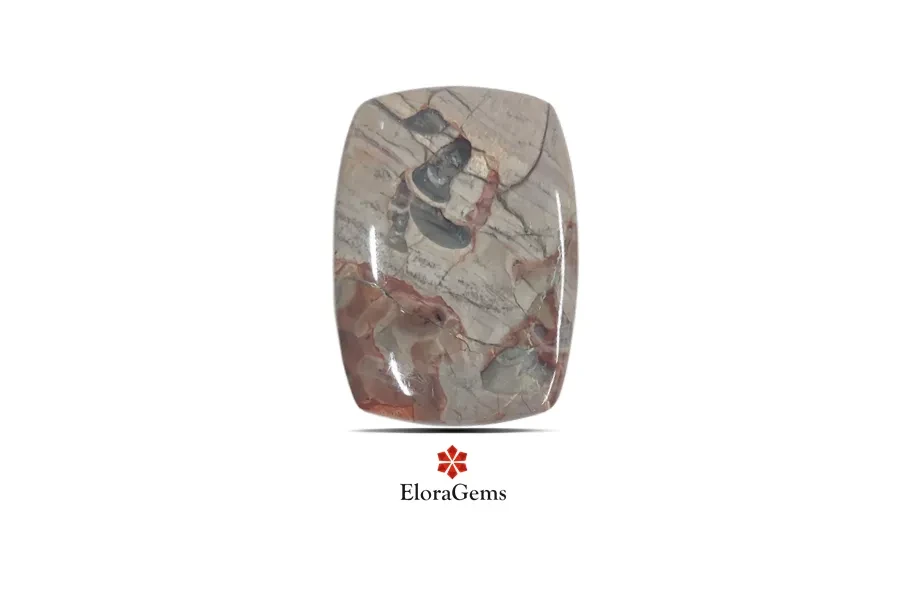 Mushroom Rhyolite Jasper 42x31 MM 51.9 carats