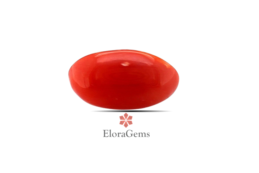 Red Coral 11x7 MM 1.87 carats