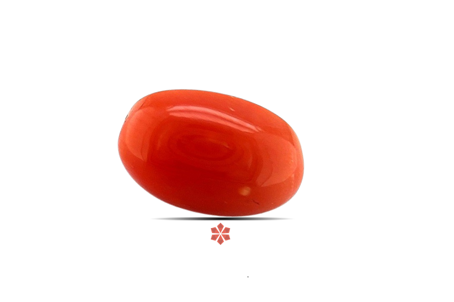 Red Coral 10x7 MM 2.68 carats