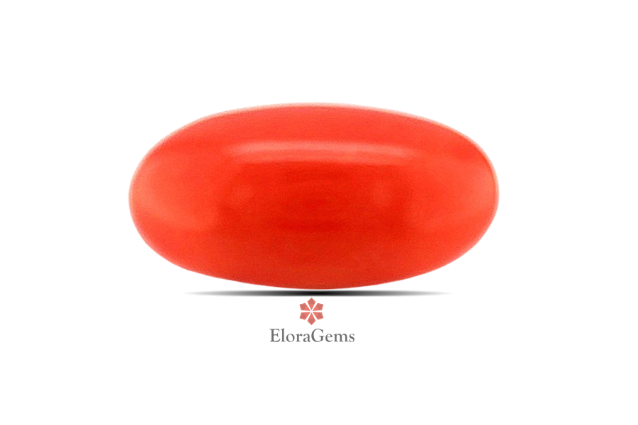 Red Coral (Pavalam) 20x10 MM 8.28 carats