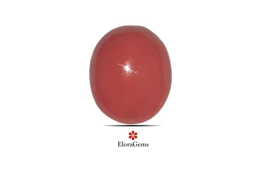Red Coral (Pavalam) 15x13 MM 6.8 carats