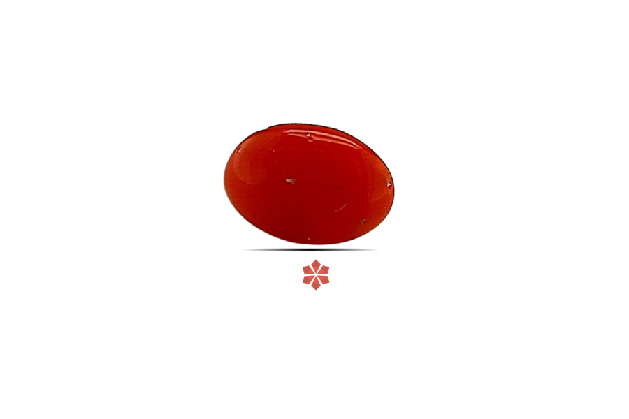 Red Coral 8x6 MM 0.75 carats