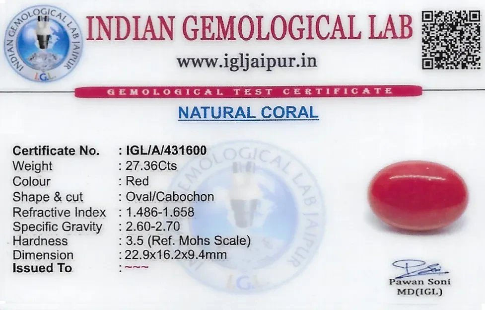 Red Coral (Pavalam) 23x16 MM 27.36 carats