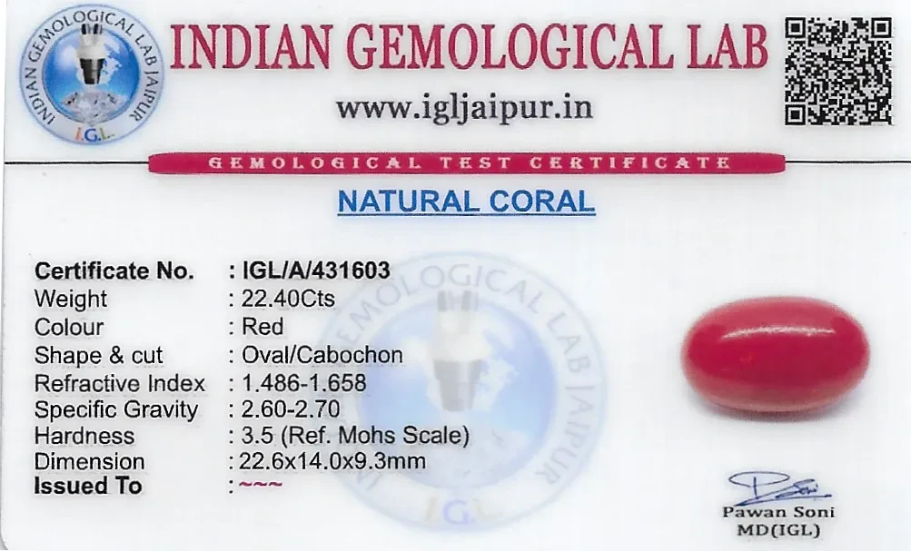 Red Coral (Pavalam) 23x14 MM 22.4 carats