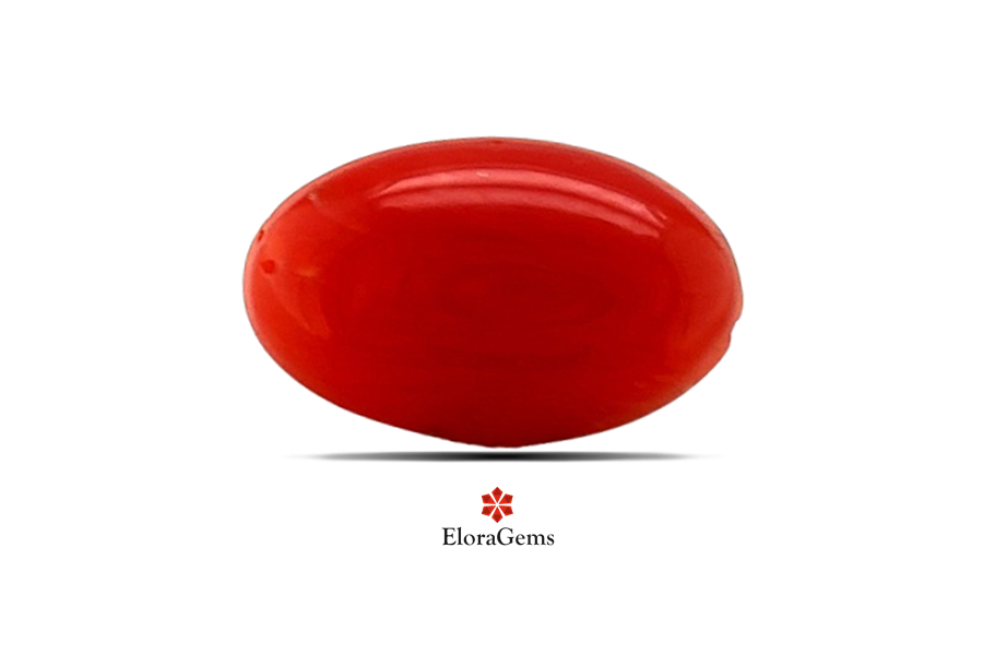 Red Coral 12x7 MM 1.73 carats