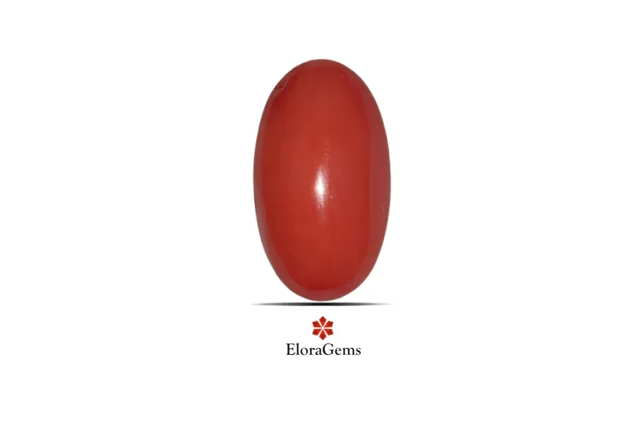 Red Coral (Pavalam) 17x11 MM 6.1 carats