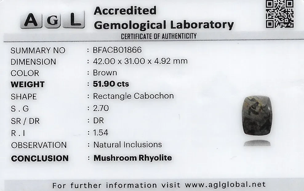 Mushroom Rhyolite Jasper 42x31 MM 51.9 carats