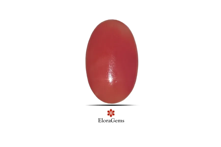 Red Coral (Pavalam) 20x12 MM 10.11 carats