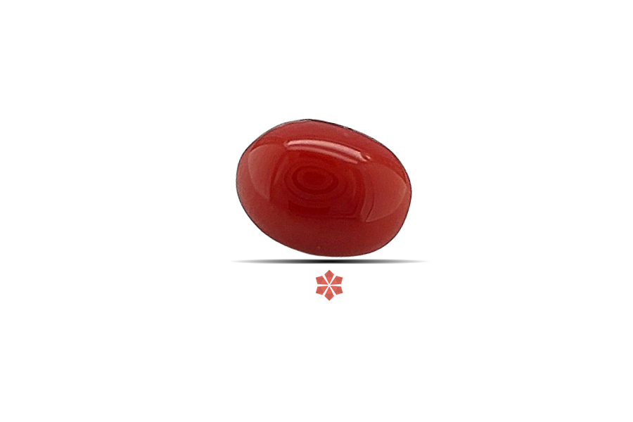 Red Coral 8x6 MM 1.4 carats
