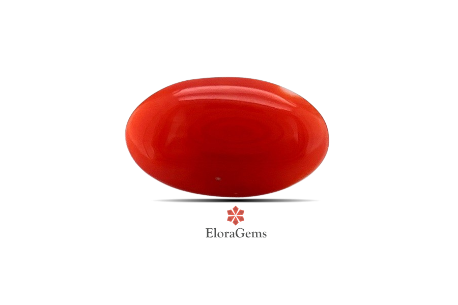Red Coral 12x7 MM 2.16 carats