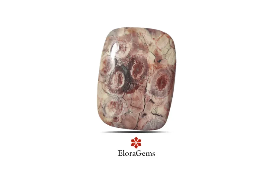 Mushroom Rhyolite Jasper 45x34 MM 59.29 carats