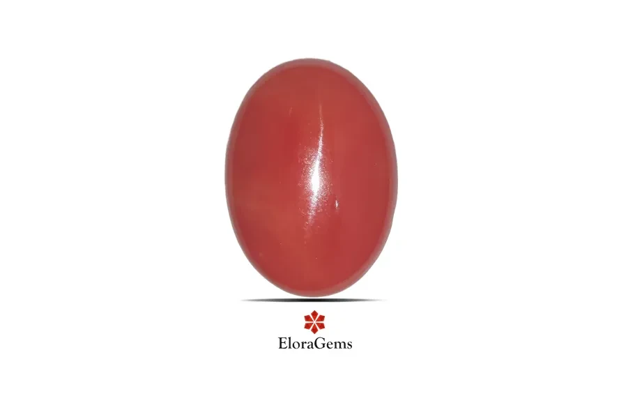 Red Coral (Pavalam) 19x14 MM 11.55 carats