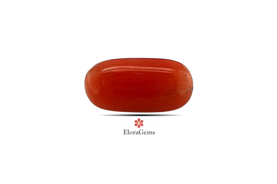 Red Coral 11x6 MM 2.33 carats