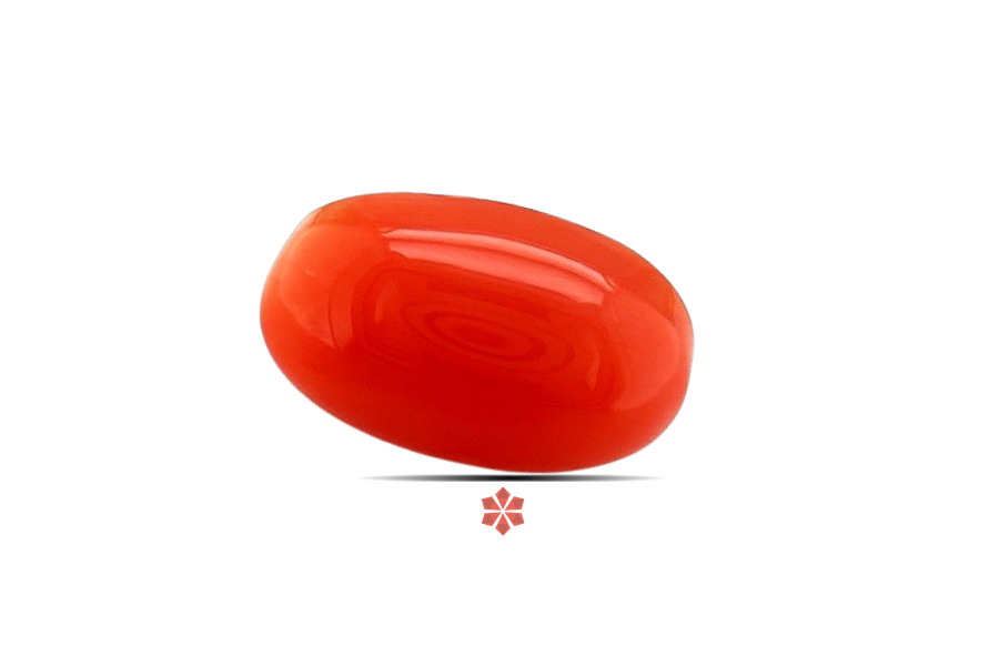 Red Coral 11x7 MM 2.54 carats