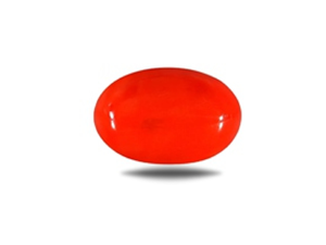 Red Coral (Pavalam)