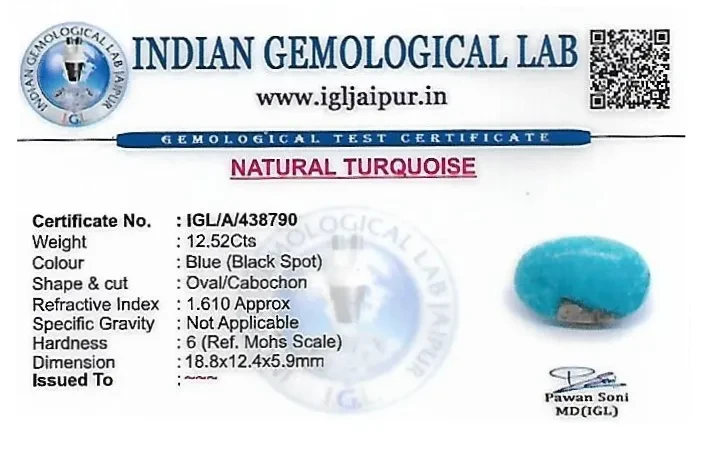 Turquoise 19x12 MM 12.52 carats