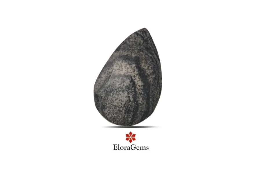 Black Cola Jasper 20x13 MM 6.9 carats