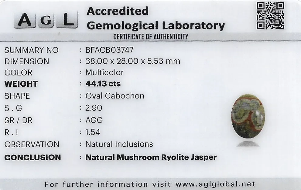 Mushroom Rhyolite Jasper 38x28 MM 44.13 carats