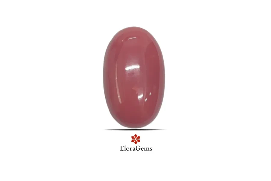 Red Coral (Pavalam) 23x14 MM 22.4 carats