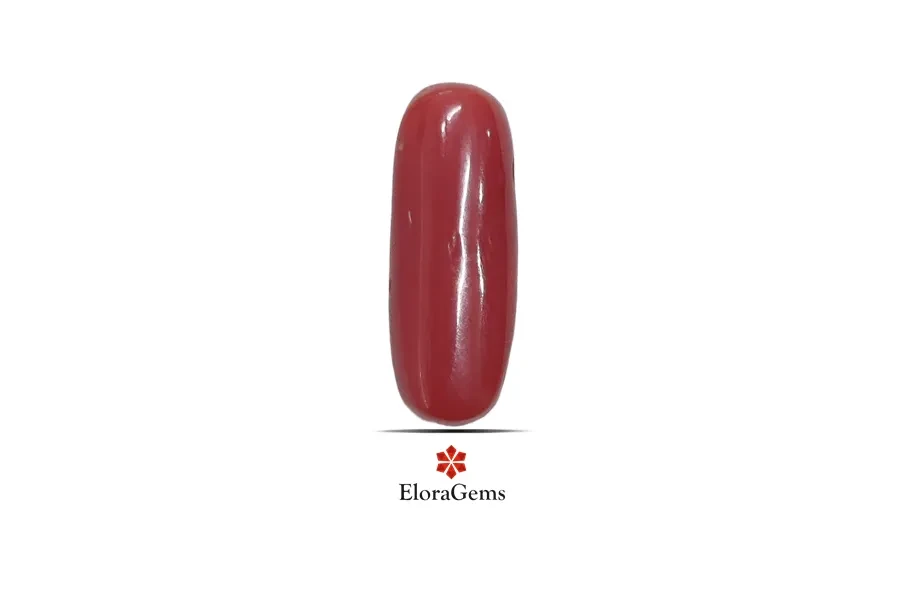Red Coral (Pavalam) 18x7 MM 6.33 carats