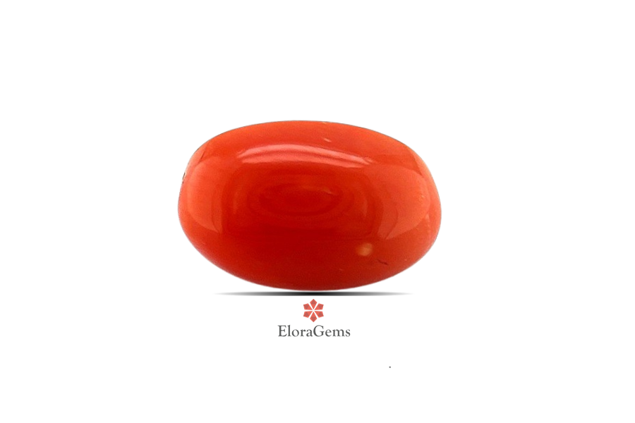 Red Coral 10x7 MM 2.68 carats